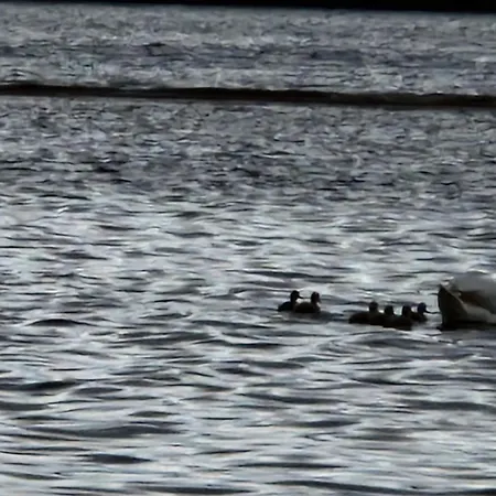 Aadelheide Family Apartamento *