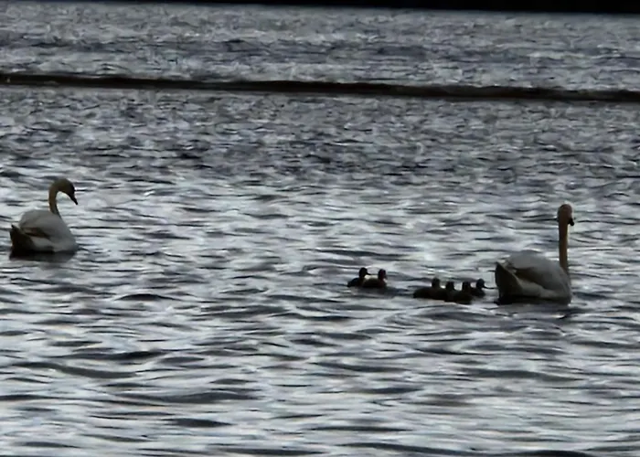 Aadelheide Family Lejlighed *